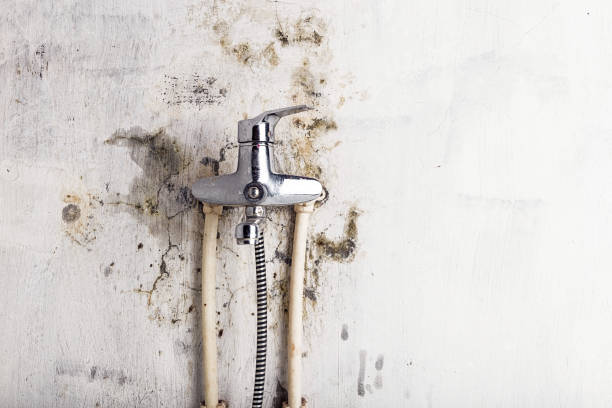 Best HVAC Mold Remediation in Lowellville, OH