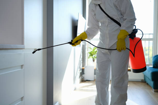 Professional Mold Remediation in Lowellville, OH